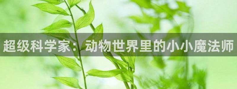 汗汗漫画在线看漫画：超级科学家：动物世界里的小小魔法师