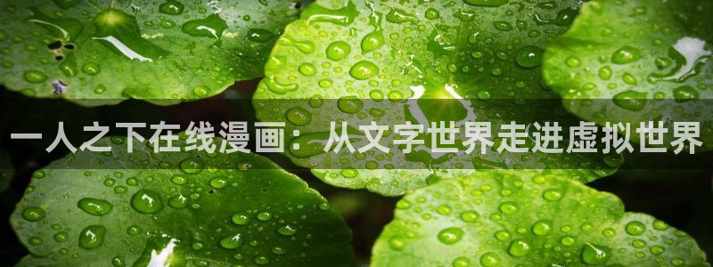 歪歪汗汗漫画在线看