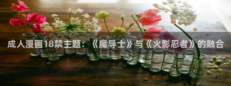 羞羞漫画――汗汗漫画：成人漫画18禁主题：《魔导士》与《火影忍者》的融合