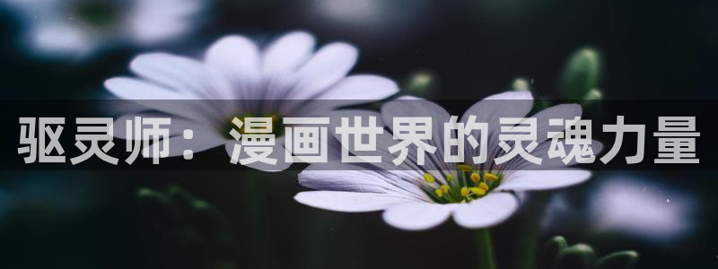 歪歪汗汗漫画：驱灵师：漫画世界的灵魂力量